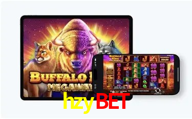 Estatísticas hzybet